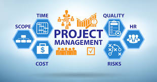 Project Management & Advisory