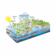 Exploration & Assessment